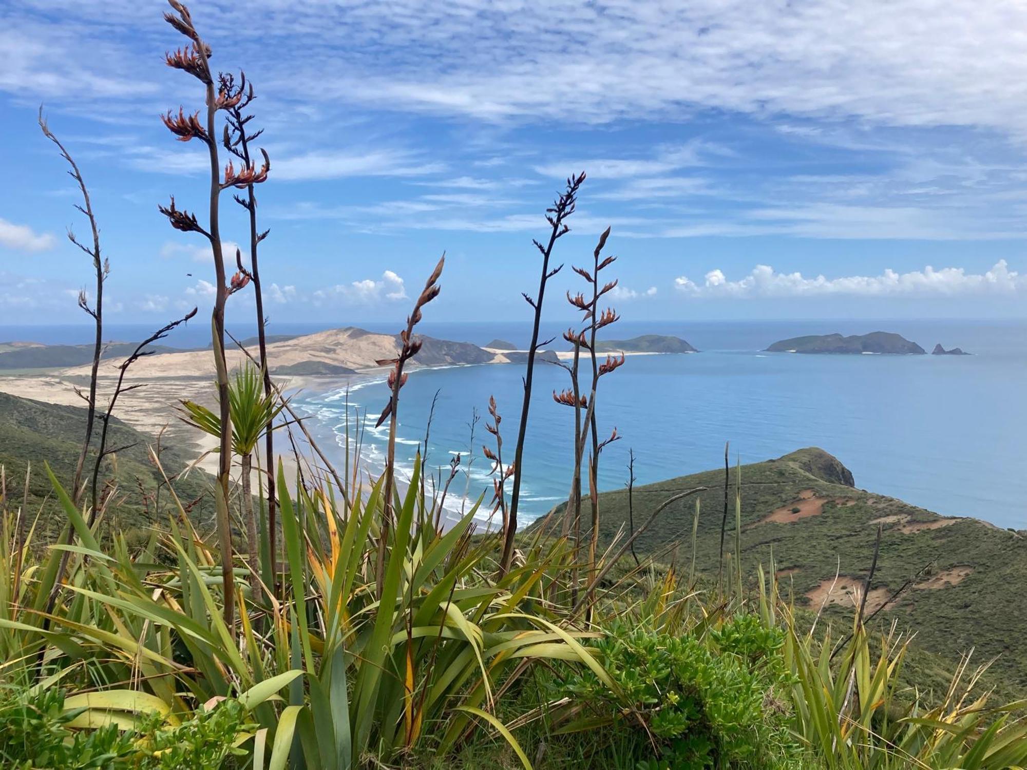 Вилла Far North Panorama Kaingaroa Экстерьер фото